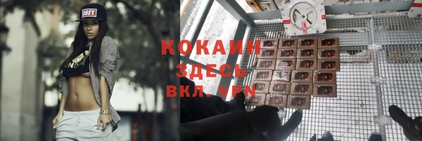 ПСИЛОЦИБИНОВЫЕ ГРИБЫ Алексеевка
