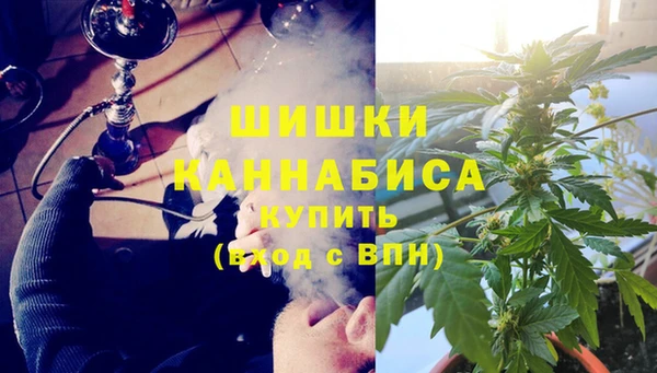 ПСИЛОЦИБИНОВЫЕ ГРИБЫ Алексеевка