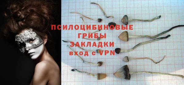соль курить ск Алексин