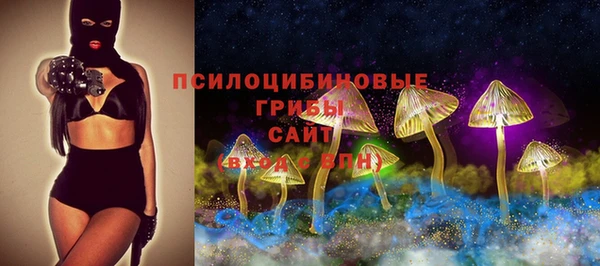ПСИЛОЦИБИНОВЫЕ ГРИБЫ Алексеевка