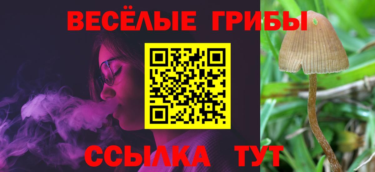 Галлюциногенные грибы Cubensis  Вход с VPN  Евпатория 