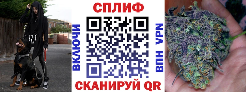Бошки Шишки Amnesia  Евпатория 